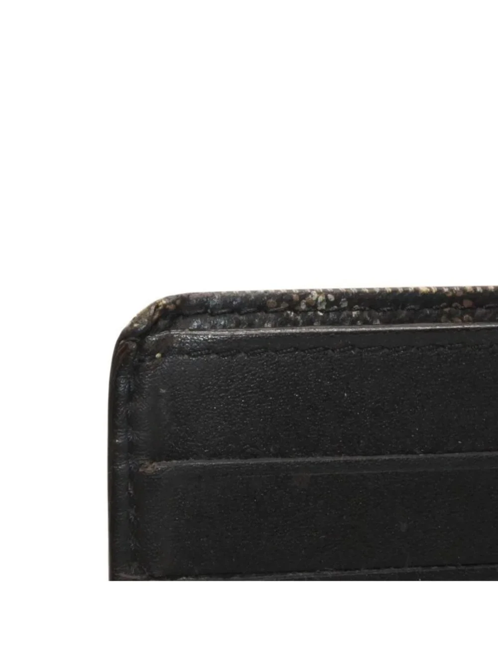 Goyard brand name